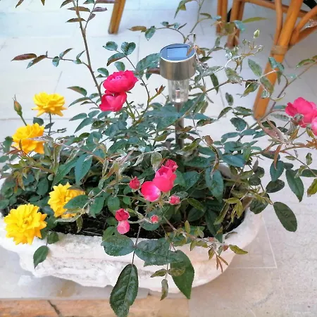 Flower Garden Apartment Benitses  Exterior photo