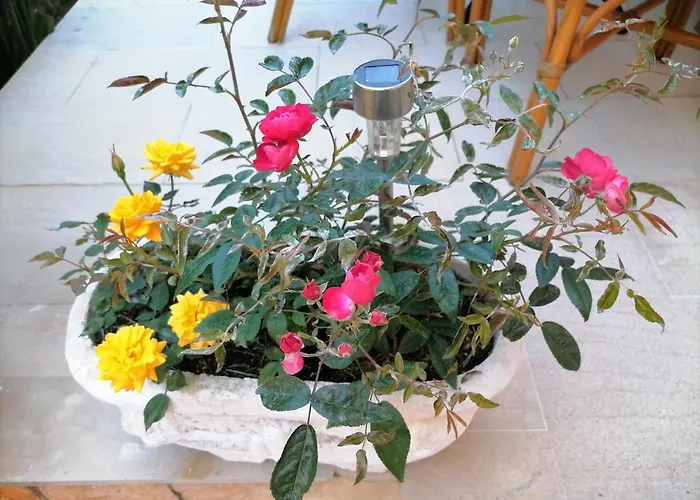 Flower Garden Apartment