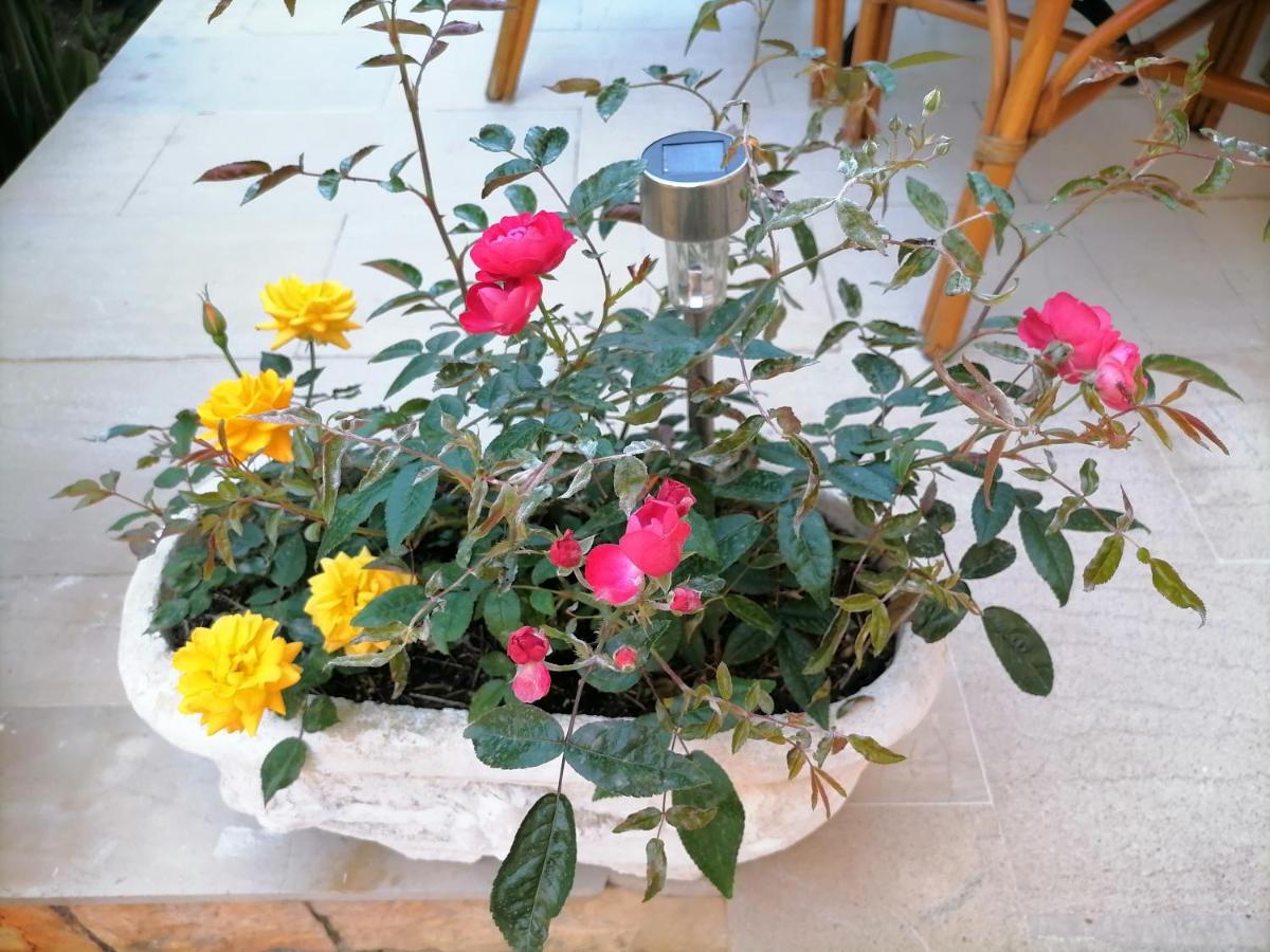 Apartment Flower Garden *